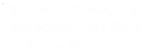 Landscape-Tree_Care_-_Snow_Removal__1_-removebg-preview-e1751229139107.png